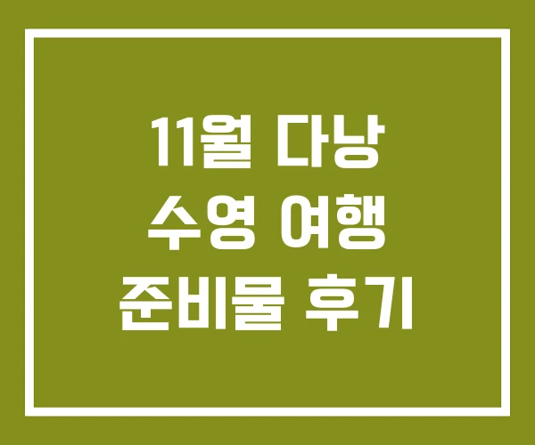 11월 다낭 수영 여행 준비물 후기