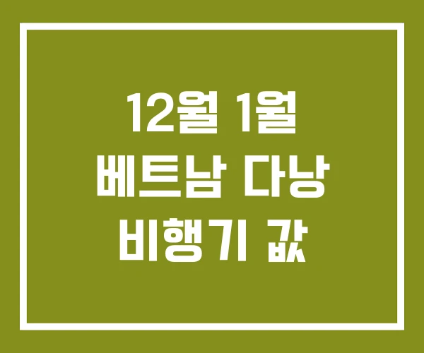 12월 1월 베트남 다낭 비행기 값