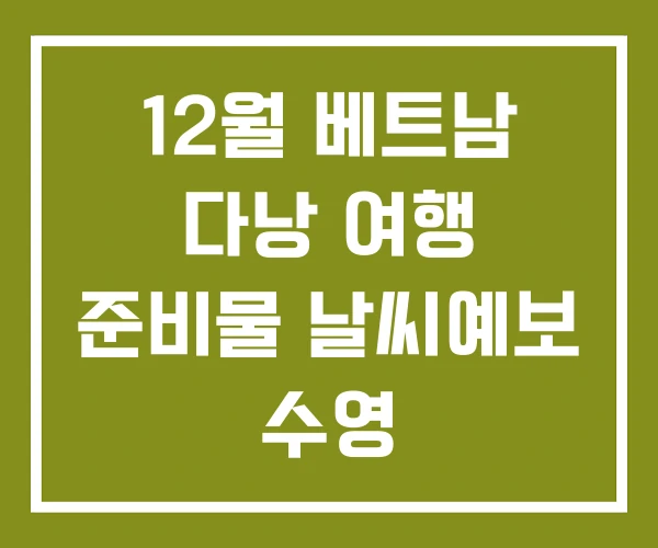 12월 베트남 다낭 여행 준비물 날씨예보 수영