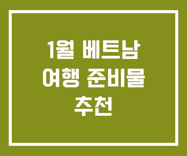 1월 베트남 여행 준비물 추천