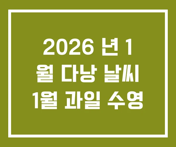 2026 년 1 월 다낭 날씨 1월 과일 수영