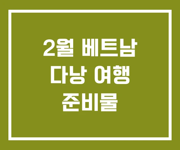 2월 베트남 다낭 여행 준비물