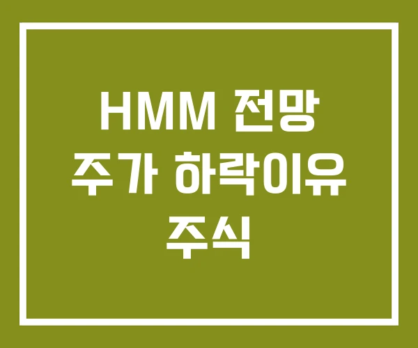 HMM 전망 주가 하락이유 주식