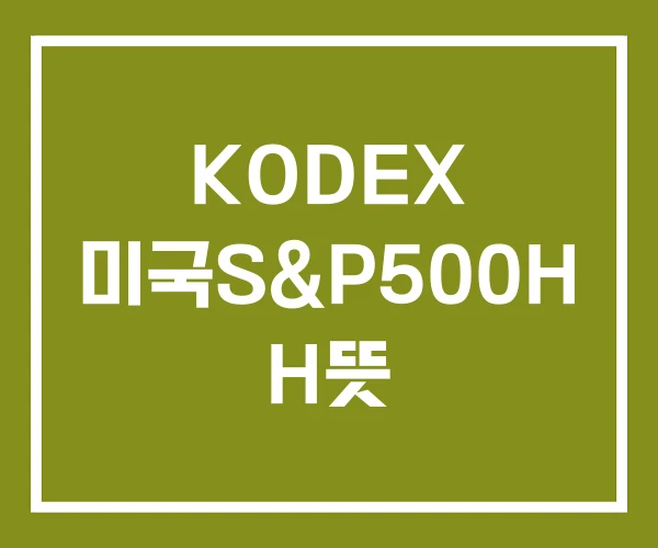 KODEX 미국S&P500H H뜻