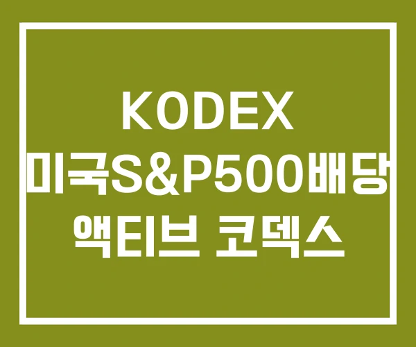 KODEX 미국S&P500배당 액티브 코덱스
