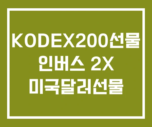 KODEX200선물 인버스 2X 미국달러선물