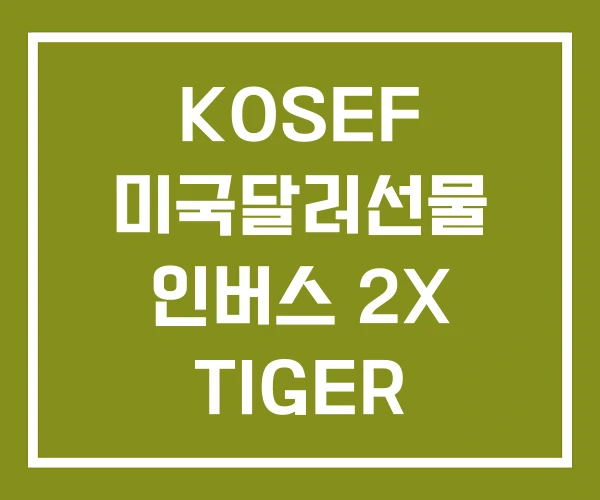 KOSEF 미국달러선물 인버스 2X TIGER