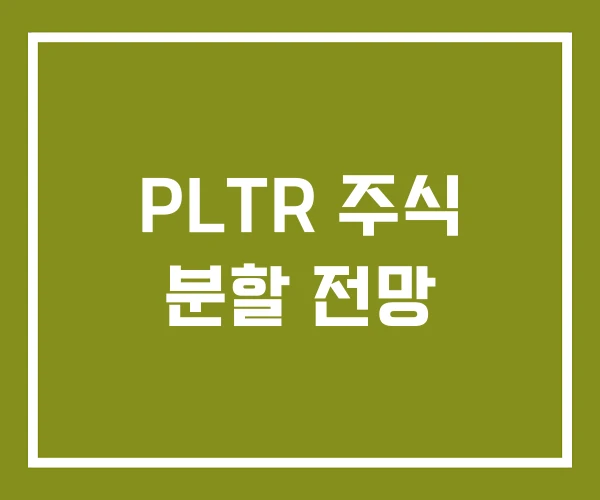 PLTR 주식 분할 전망