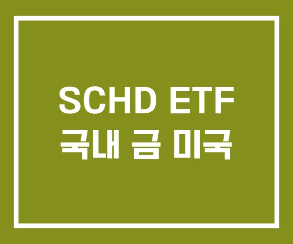 SCHD ETF 국내 금 미국