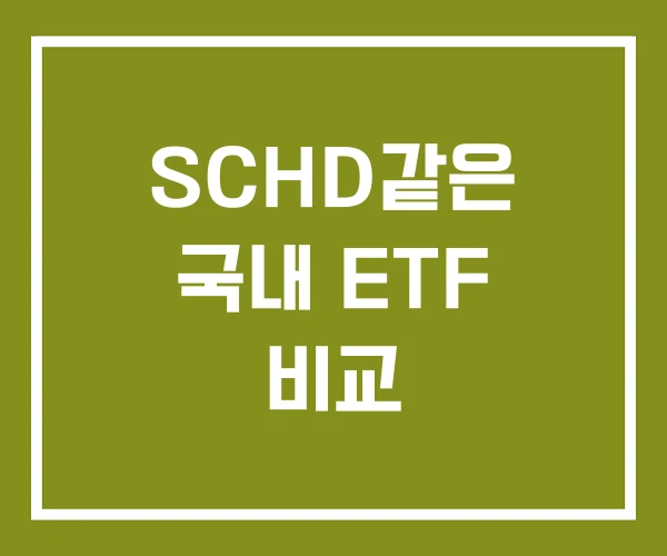 SCHD같은 국내 ETF 비교