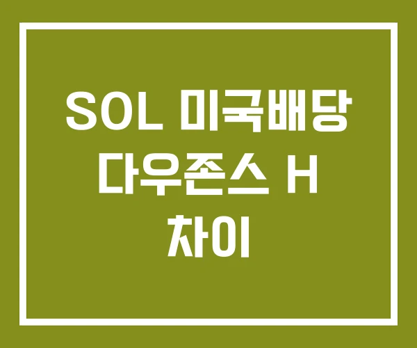 SOL 미국배당 다우존스 H 차이