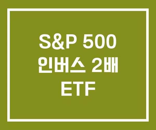 S&P 500 인버스 2배 ETF