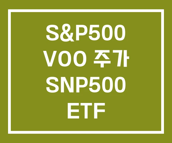 S&P500 VOO 주가 SNP500 ETF S&P500 VOO 주가 SNP500 ETF