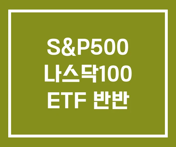 S&P500 나스닥100 ETF 반반