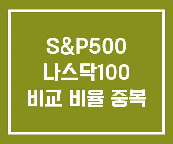 S&P500 나스닥100 비교 비율 중복