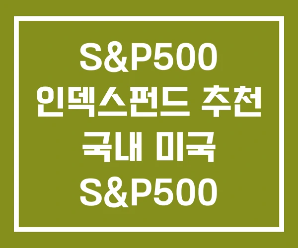S&P500 인덱스펀드 추천 국내 미국 S&P500