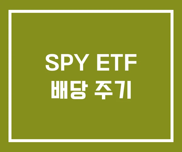 SPY ETF 배당 주기 SPY ETF 배당 주기
