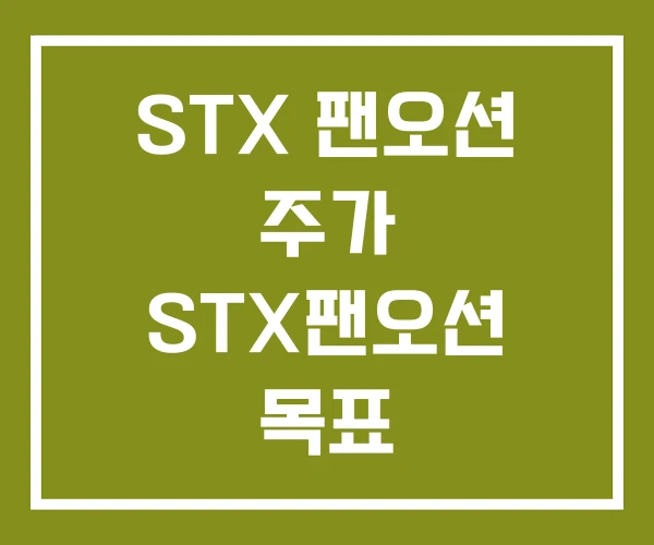STX 팬오션 주가 STX팬오션 목표