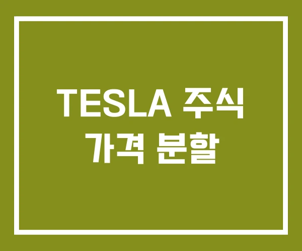 TESLA 주식 가격 분할