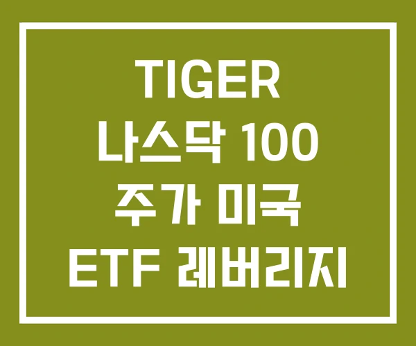 TIGER 나스닥 100 주가 미국 ETF 레버리지