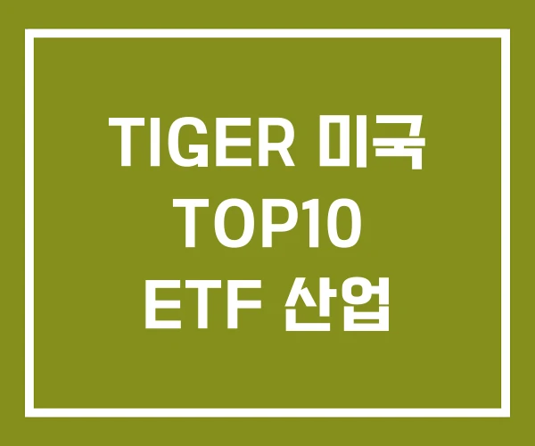 TIGER 미국 TOP10 ETF 산업