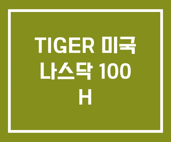 TIGER 미국 나스닥 100 H