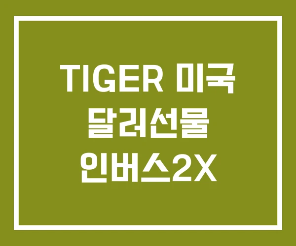 TIGER 미국 달러선물 인버스2X