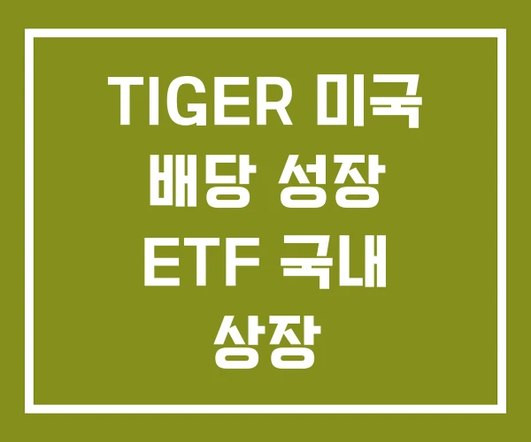 TIGER 미국 배당 성장 ETF 국내 상장