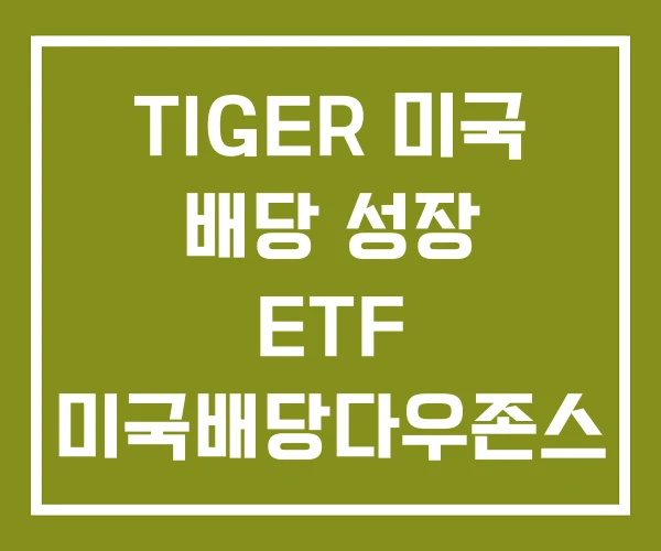TIGER 미국 배당 성장 ETF 미국배당다우존스 성장률