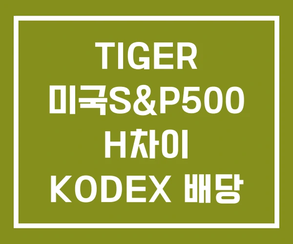 TIGER 미국S&P500 H차이 KODEX 배당