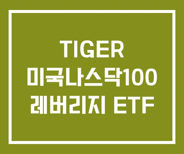 TIGER 미국나스닥100 레버리지 ETF