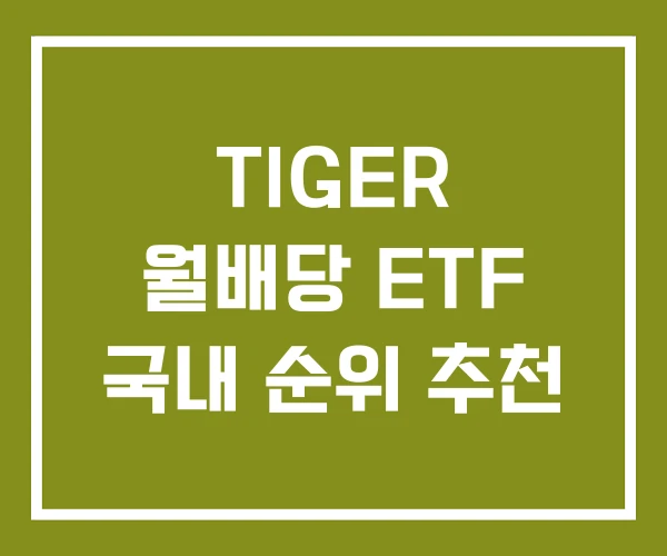 TIGER 월배당 ETF 국내 순위 추천