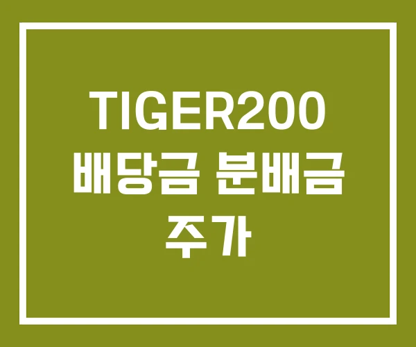 TIGER200 배당금 분배금 주가