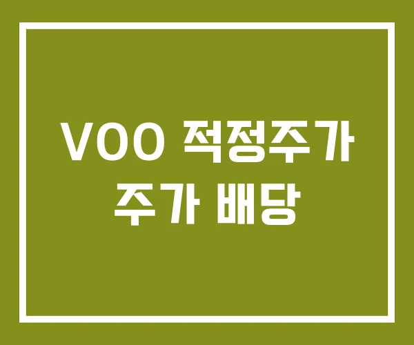 VOO 적정주가 주가 배당