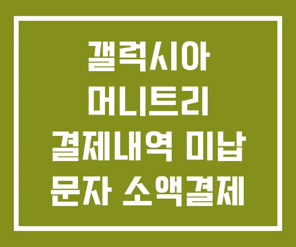 갤럭시아 머니트리 결제내역 미납 문자 소액결제 갤럭시아 머니트리 결제내역 미납 문자 소액결제