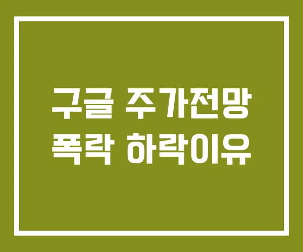 구글 주가전망 폭락 하락이유
