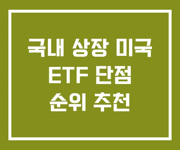 국내 상장 미국 ETF 단점 순위 추천