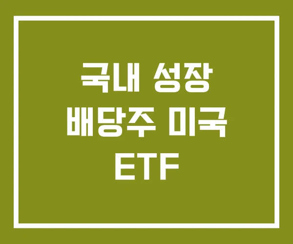 국내 성장 배당주 미국 ETF