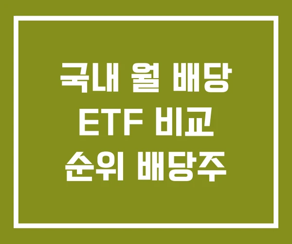 국내 월 배당 ETF 비교 순위 배당주