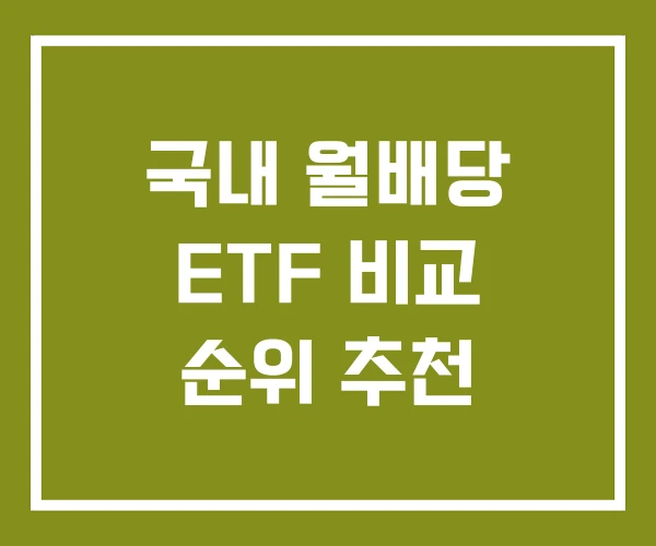 국내 월배당 ETF 비교 순위 추천