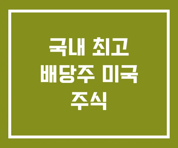 국내 최고 배당주 미국 주식