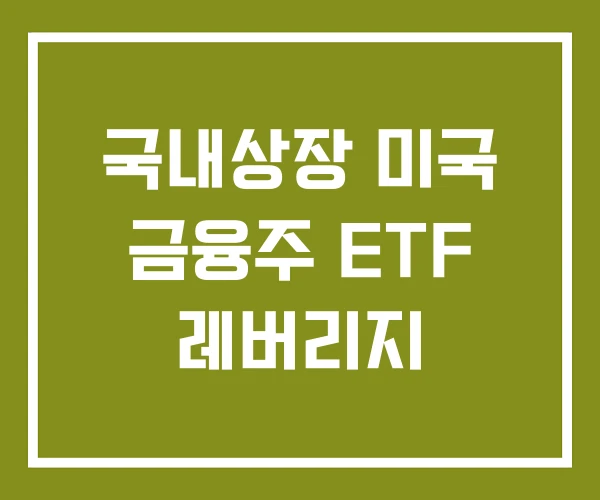 국내상장 미국 금융주 ETF 레버리지