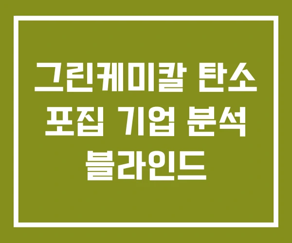 그린케미칼 탄소 포집 기업 분석 블라인드