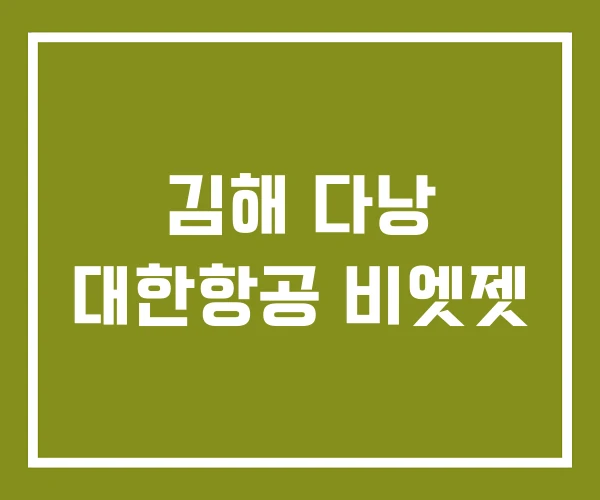 김해 다낭 대한항공 비엣젯