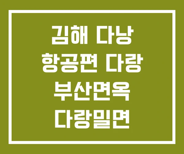 김해 다낭 항공편 다랑 부산면옥 다랑밀면