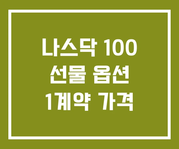 나스닥 100 선물 옵션 1계약 가격