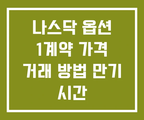 나스닥 옵션 1계약 가격 거래 방법 만기 시간 나스닥 옵션 1계약 가격 거래 방법 만기 시간