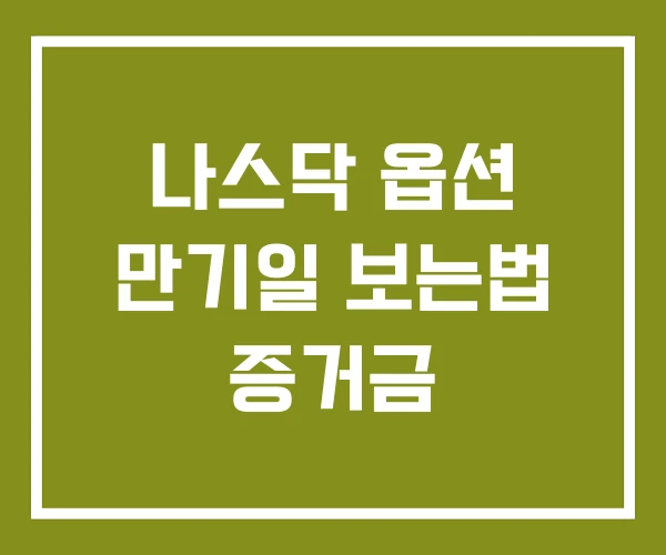 나스닥 옵션 만기일 보는법 증거금