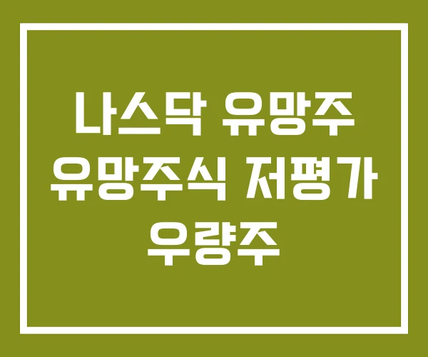 나스닥 유망주 유망주식 저평가 우량주