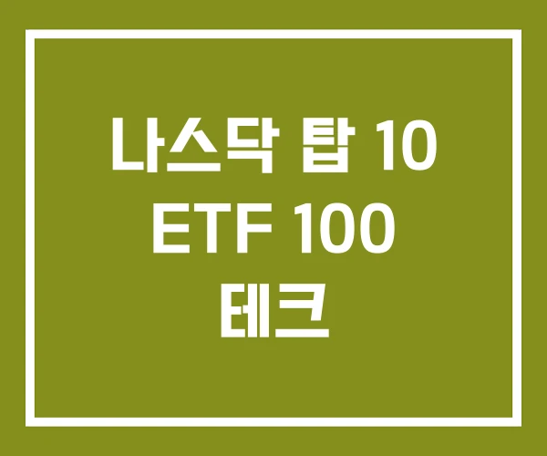 나스닥 탑 10 ETF 100 테크